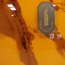 Photographic sample of Orange (Studio)